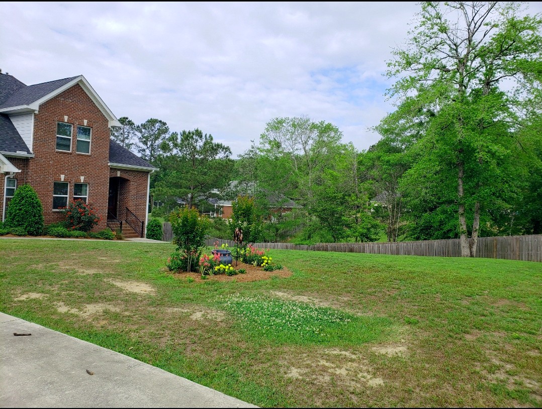 Bare spots in front yard that need to be reseeded.